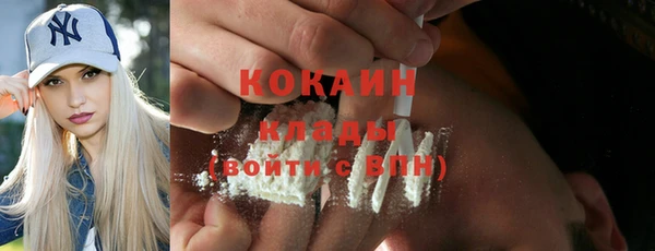 дживик Аркадак
