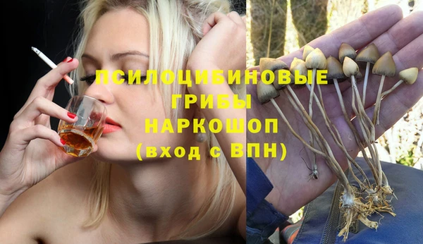 дживик Аркадак