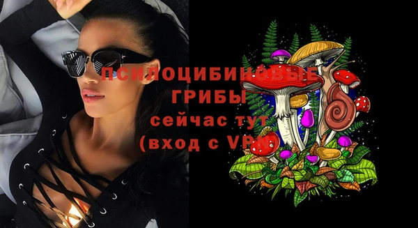 дживик Аркадак