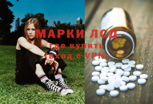 дживик Аркадак